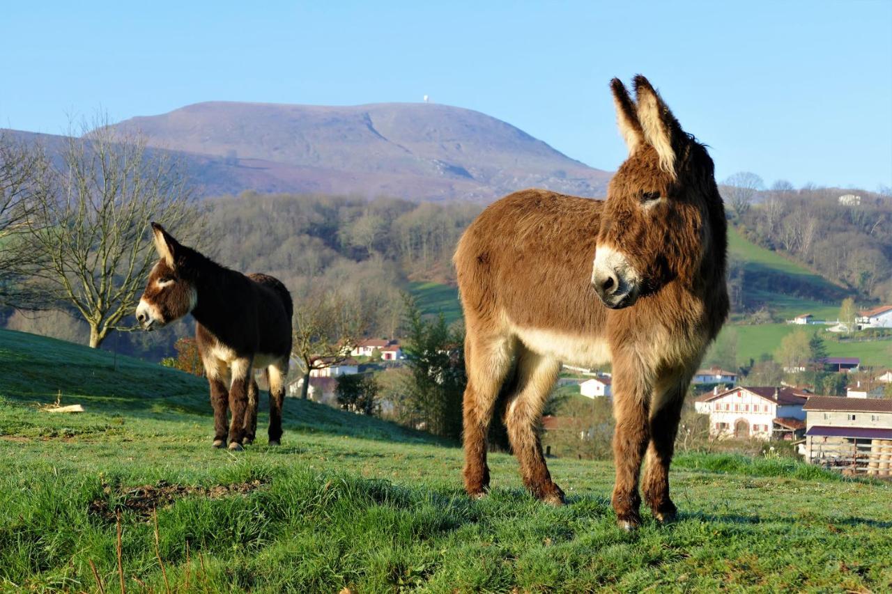Baskoparadis I Eco-Gites I Calme I Vue I Anes I Jardin I Montagne I Nature Louhossoa Dış mekan fotoğraf