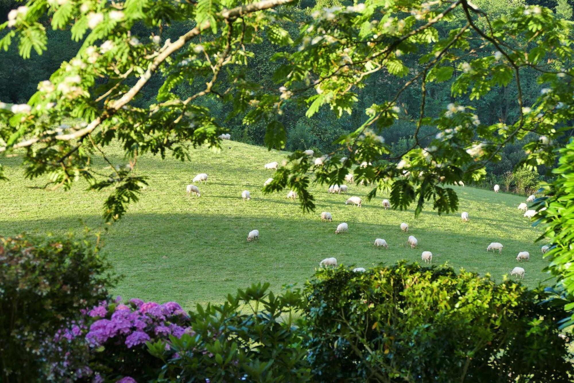 Baskoparadis I Eco-Gites I Calme I Vue I Anes I Jardin I Montagne I Nature Louhossoa Dış mekan fotoğraf