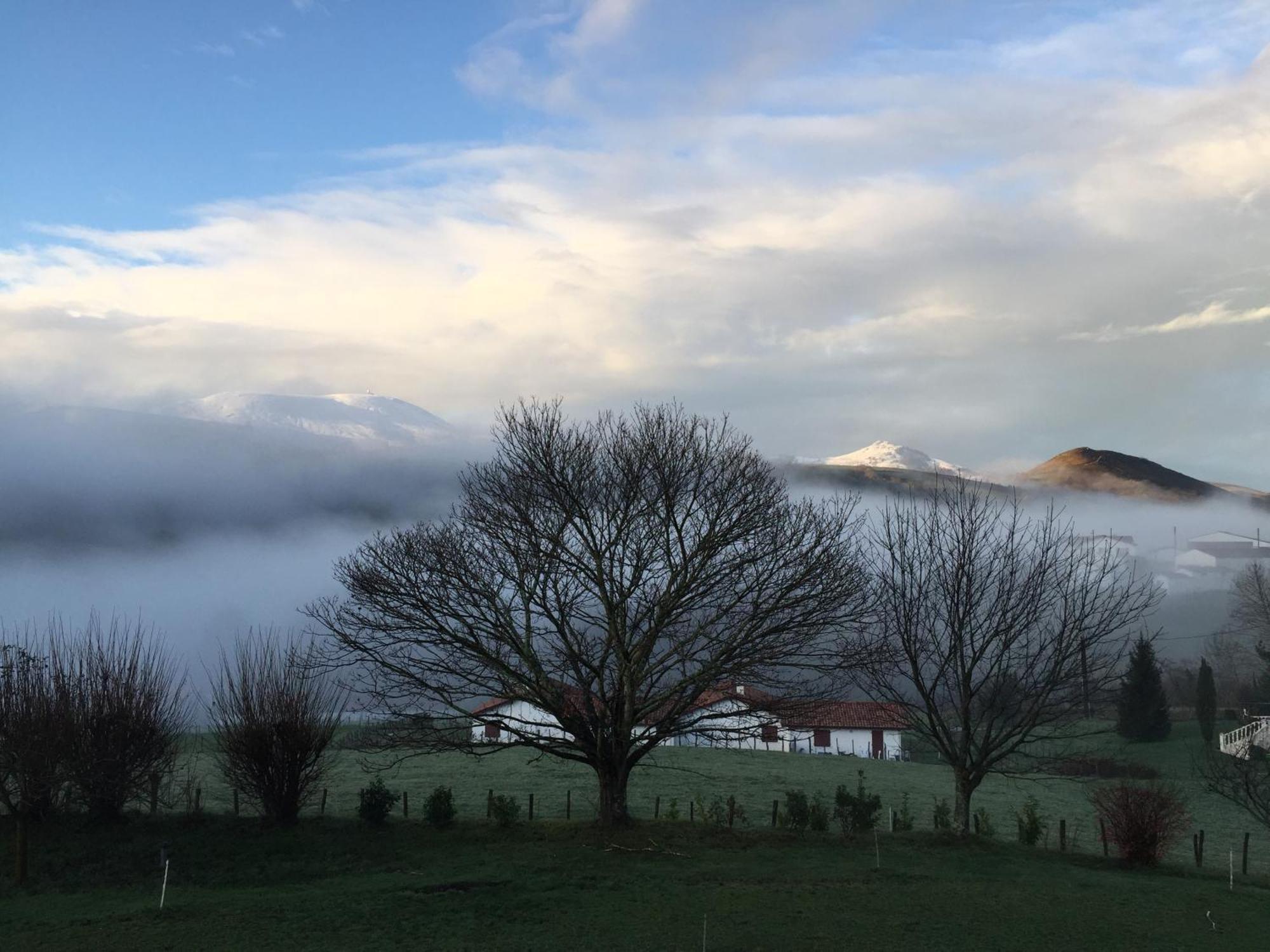 Baskoparadis I Eco-Gites I Calme I Vue I Anes I Jardin I Montagne I Nature Louhossoa Dış mekan fotoğraf