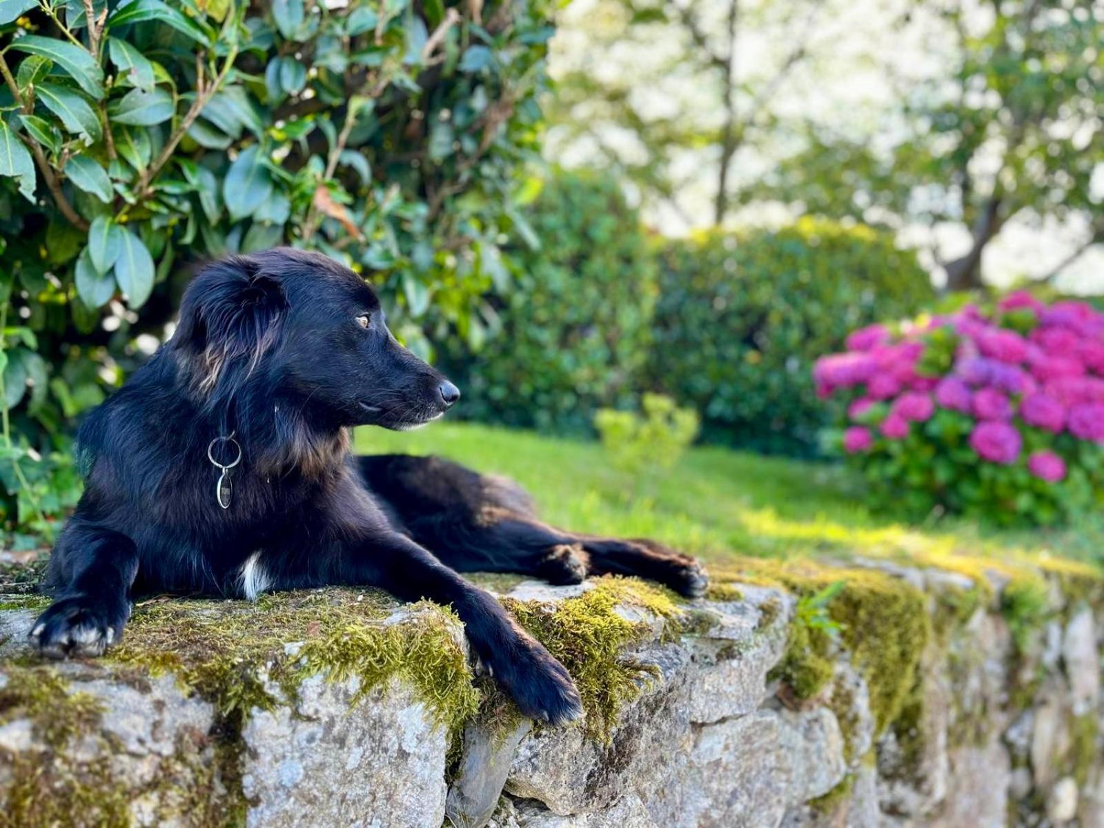 Baskoparadis I Eco-Gites I Calme I Vue I Anes I Jardin I Montagne I Nature Louhossoa Dış mekan fotoğraf