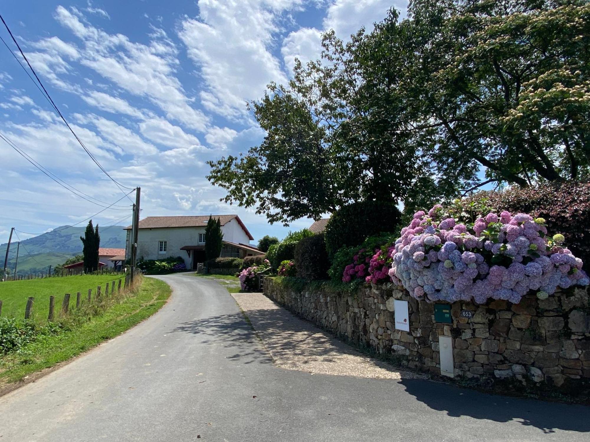 Baskoparadis I Eco-Gites I Calme I Vue I Anes I Jardin I Montagne I Nature Louhossoa Dış mekan fotoğraf