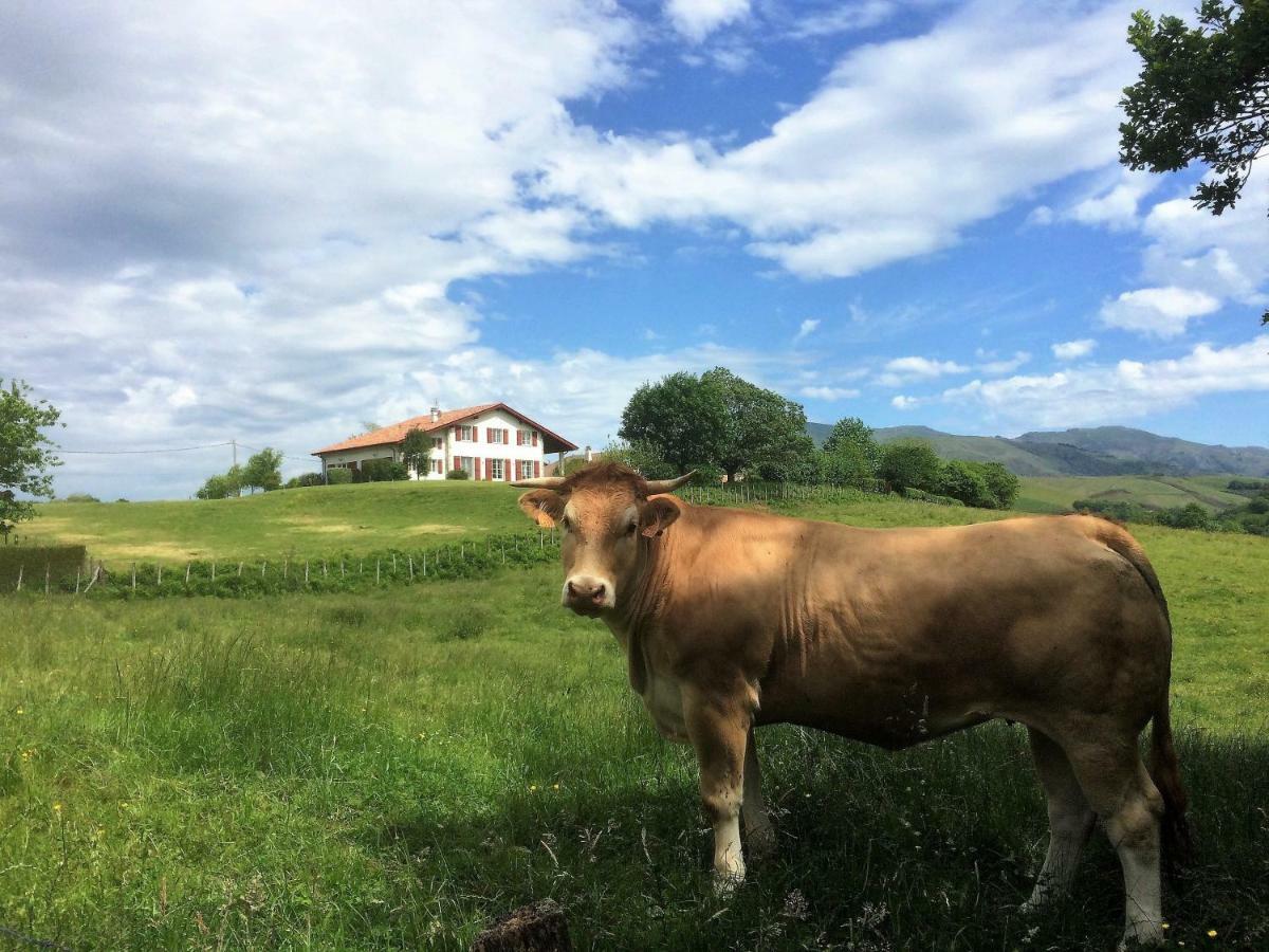Baskoparadis I Eco-Gites I Calme I Vue I Anes I Jardin I Montagne I Nature Louhossoa Dış mekan fotoğraf
