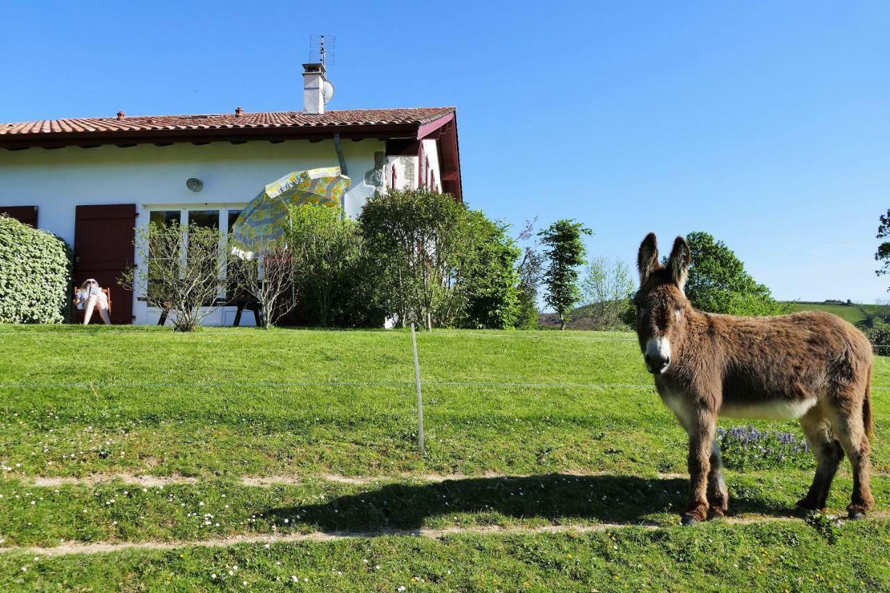 Baskoparadis I Eco-Gites I Calme I Vue I Anes I Jardin I Montagne I Nature Louhossoa Dış mekan fotoğraf